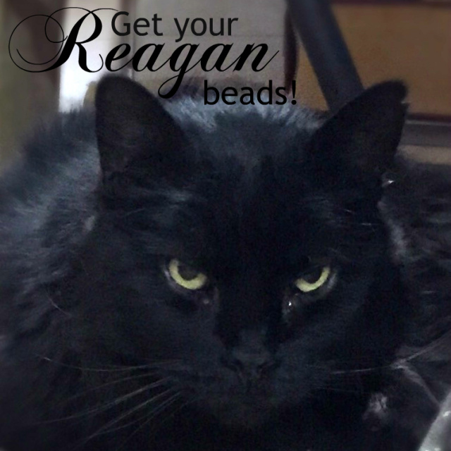 Get your Reagan black cat beads. Genuine czech glass beads.