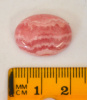 Rhodochrosite cabochon, 20x15mm