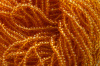 Transparent - Medium Topaz Czech 11/0 Seed Beads